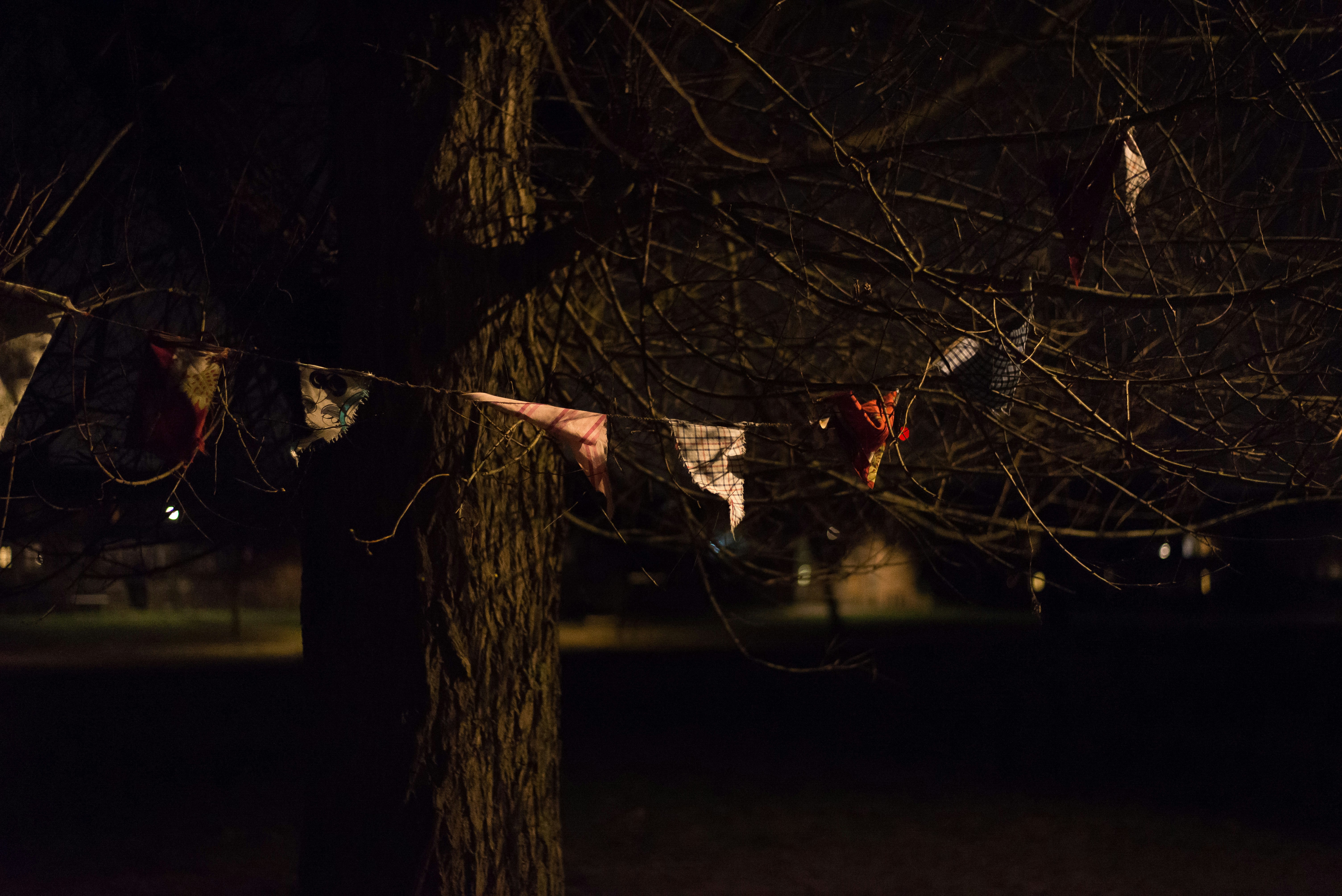 Free Unsplash photo from Nathan Heeb