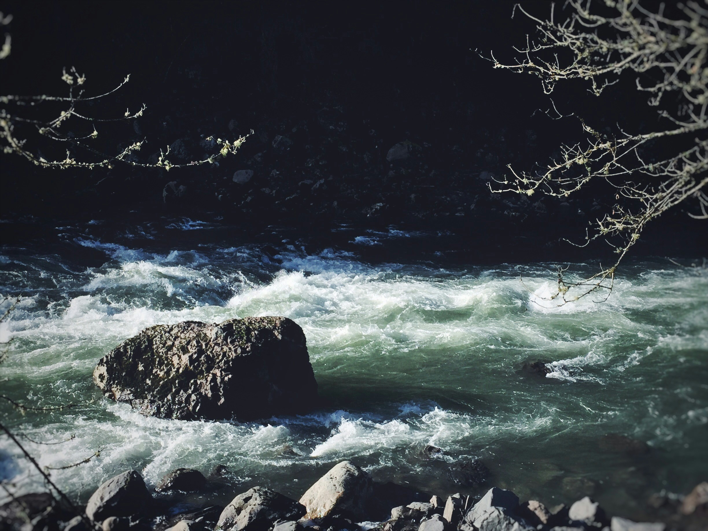 Free Unsplash photo from Michael Nunes