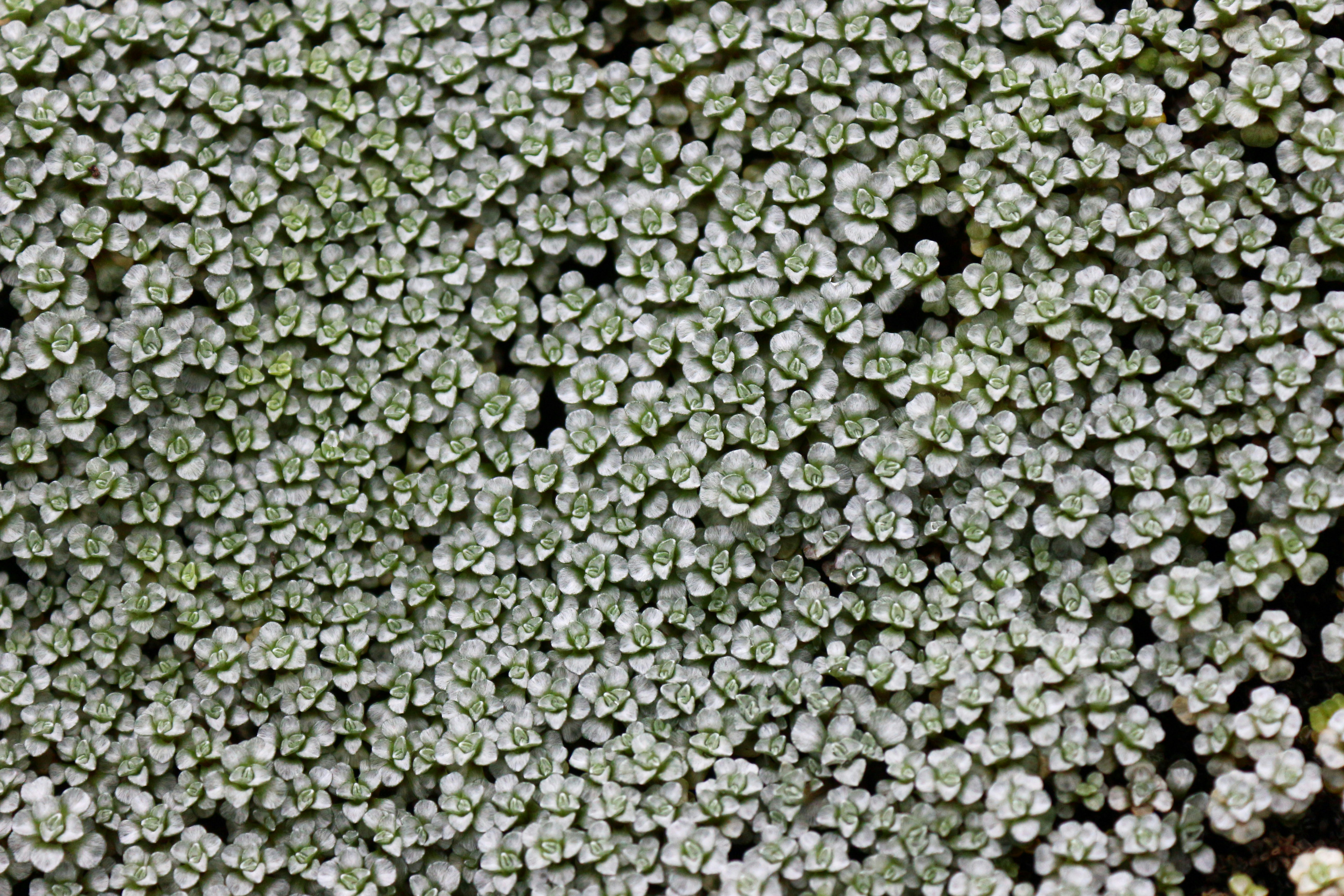 Free Unsplash photo from Jinwoo Lee