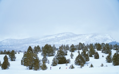 A snowy landscape features rolling hills covered with trees. In the distance, a mountain range fades into the misty sky. In the foreground, several people wearing colorful winter clothing are trekking through the snow.