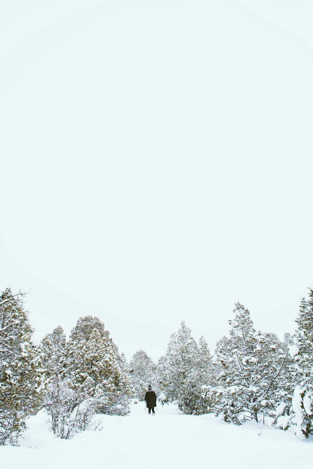 person wearing black jacket standing beside tree during winter season