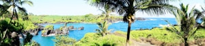 A tropical shoreline featuring vibrant blue waters and lush green vegetation. Palm trees frame the scene, offering a glimpse of black volcanic rocks scattered along the coast.
