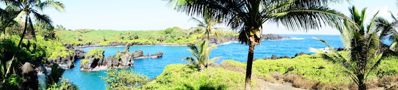 A tropical shoreline featuring vibrant blue waters and lush green vegetation. Palm trees frame the scene, offering a glimpse of black volcanic rocks scattered along the coast.