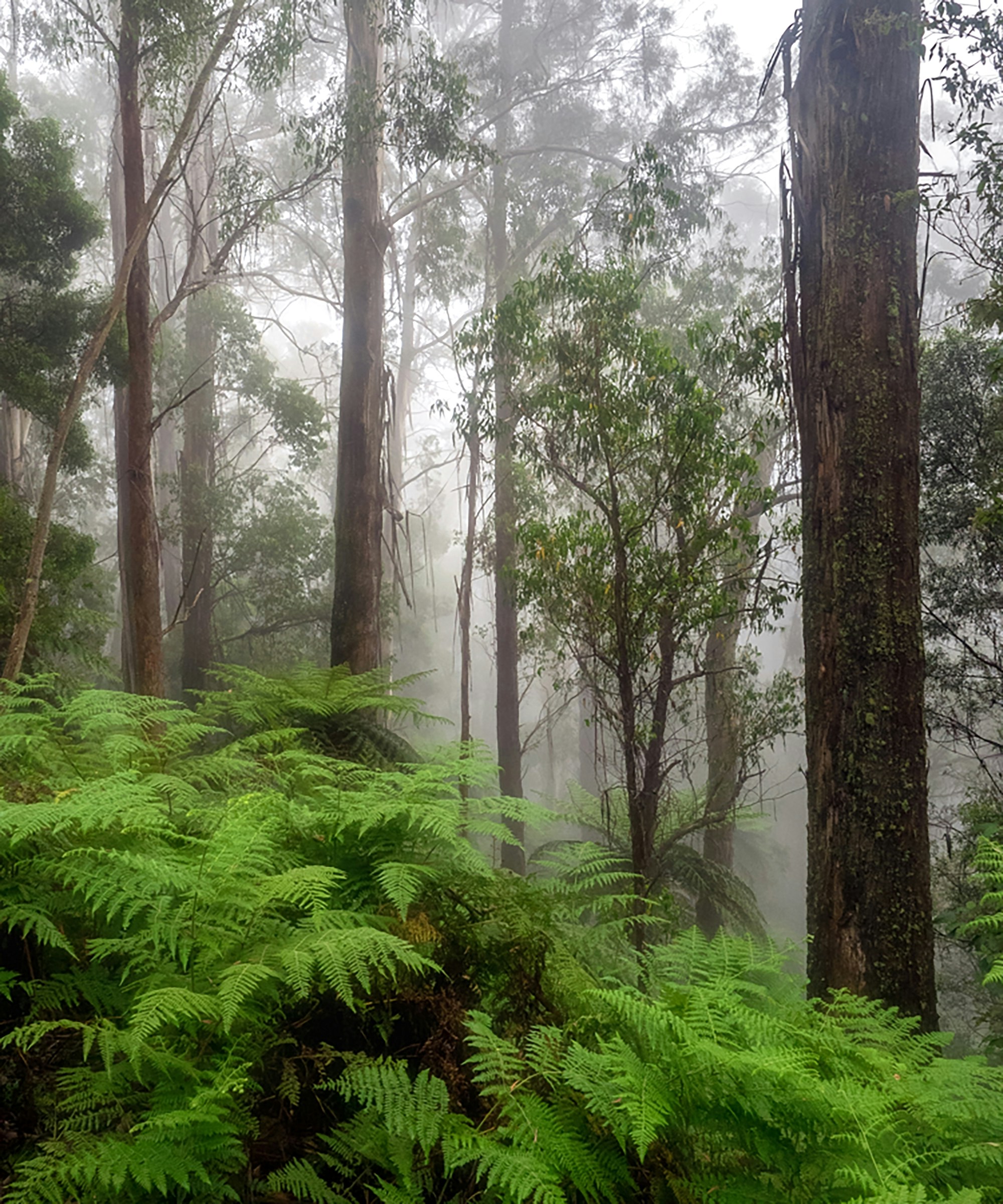 Free Unsplash photo from Tony Harding