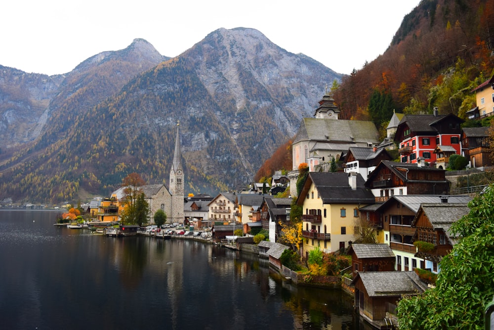 City beside body of water during daytime photo – Free Austria Image on  Unsplash