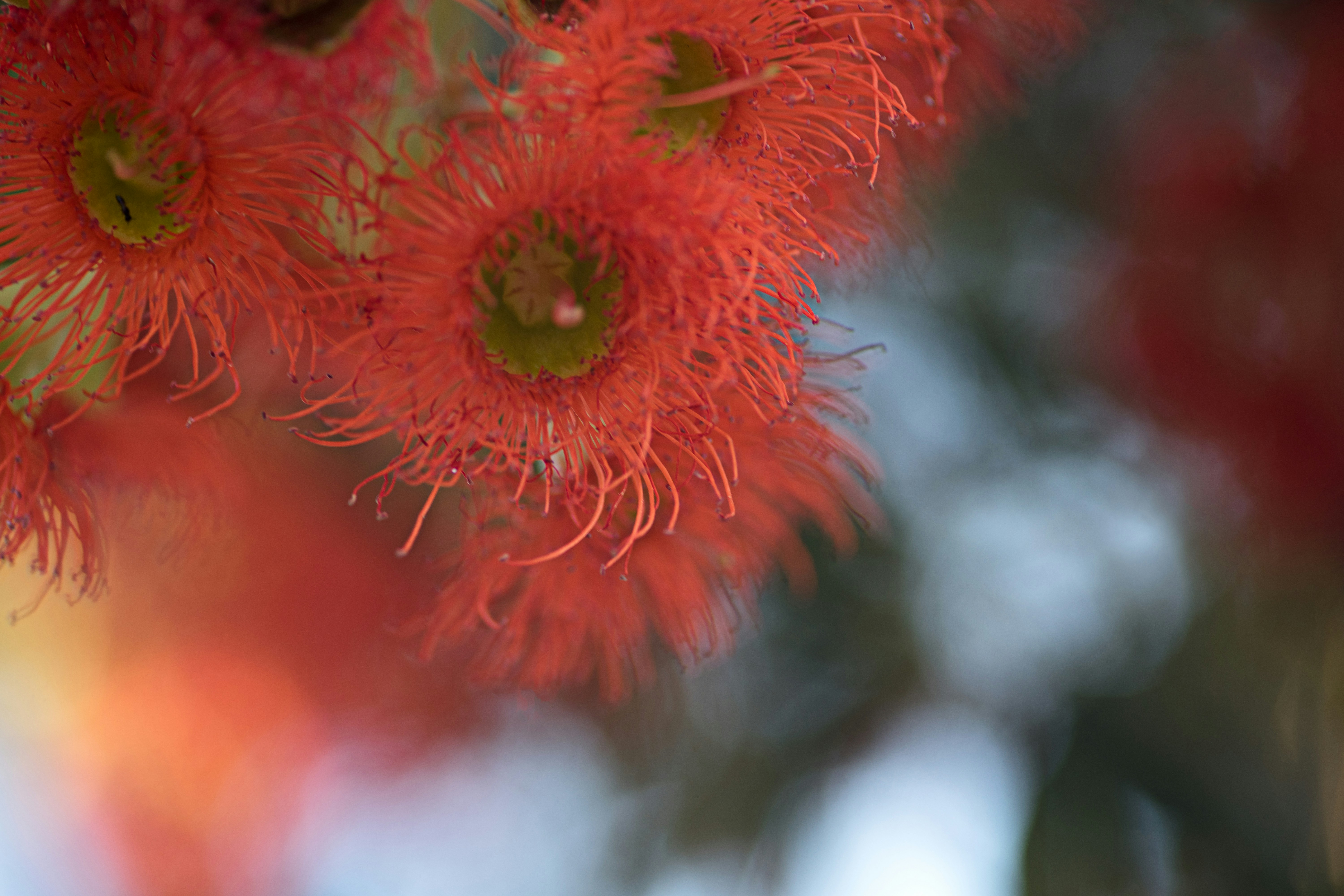 Free Unsplash photo from Aradhika Sharma