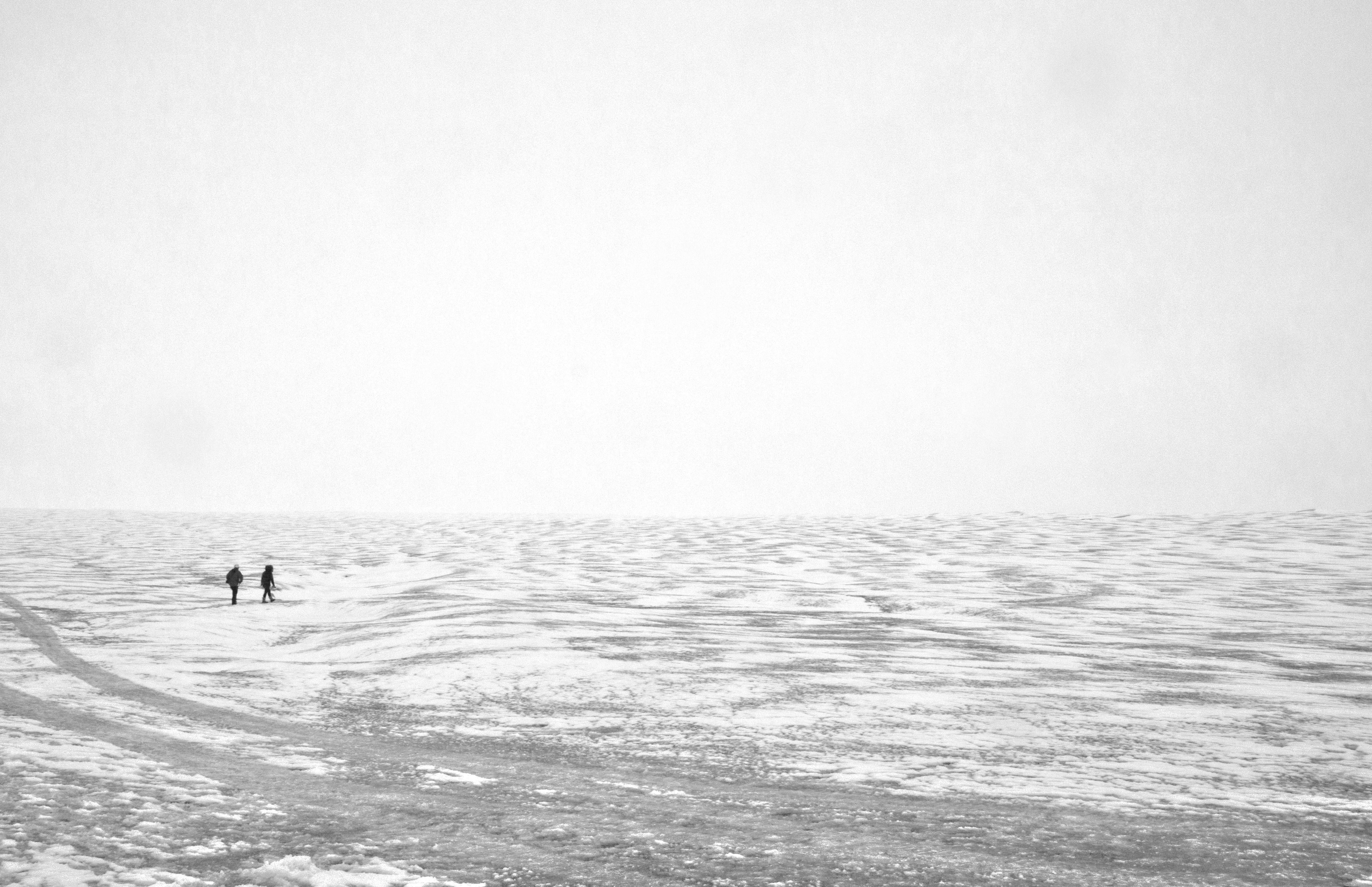 Free Unsplash photo from Conrad