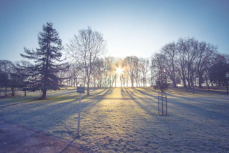A serene photo of a peaceful Edinburgh park at sunrise, capturing a moment of calm reflection.