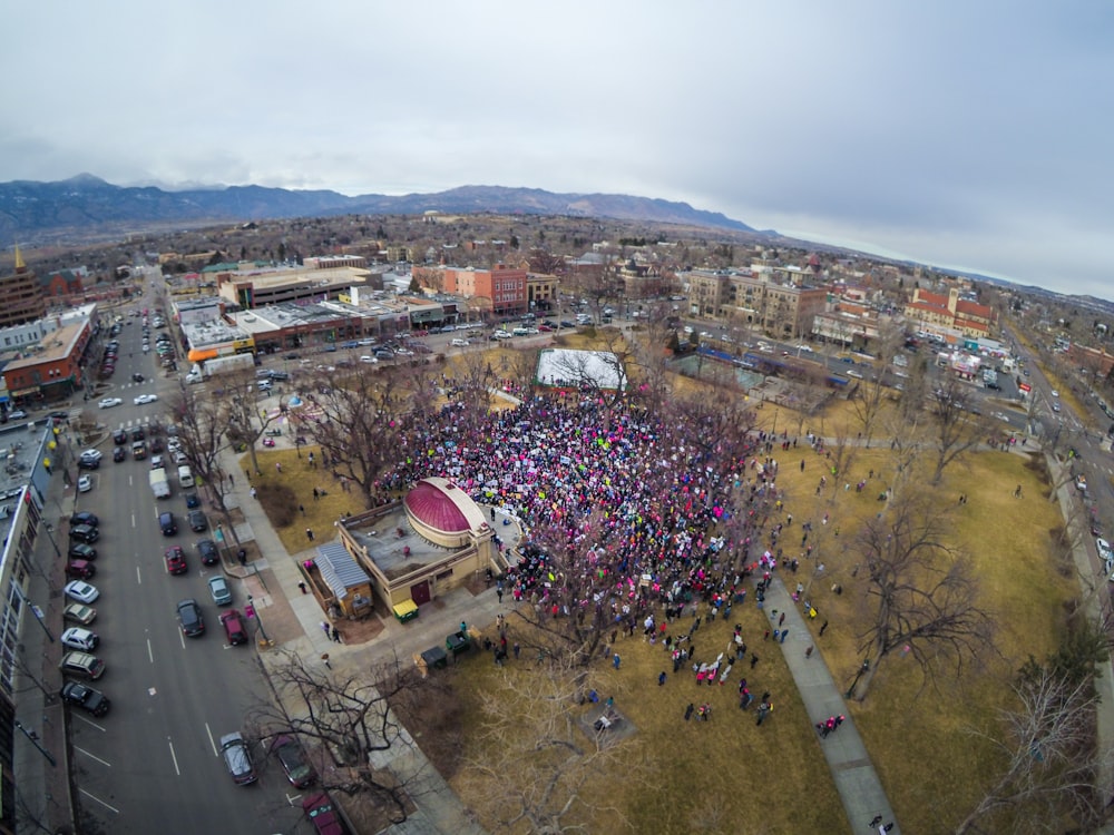 people gather on field