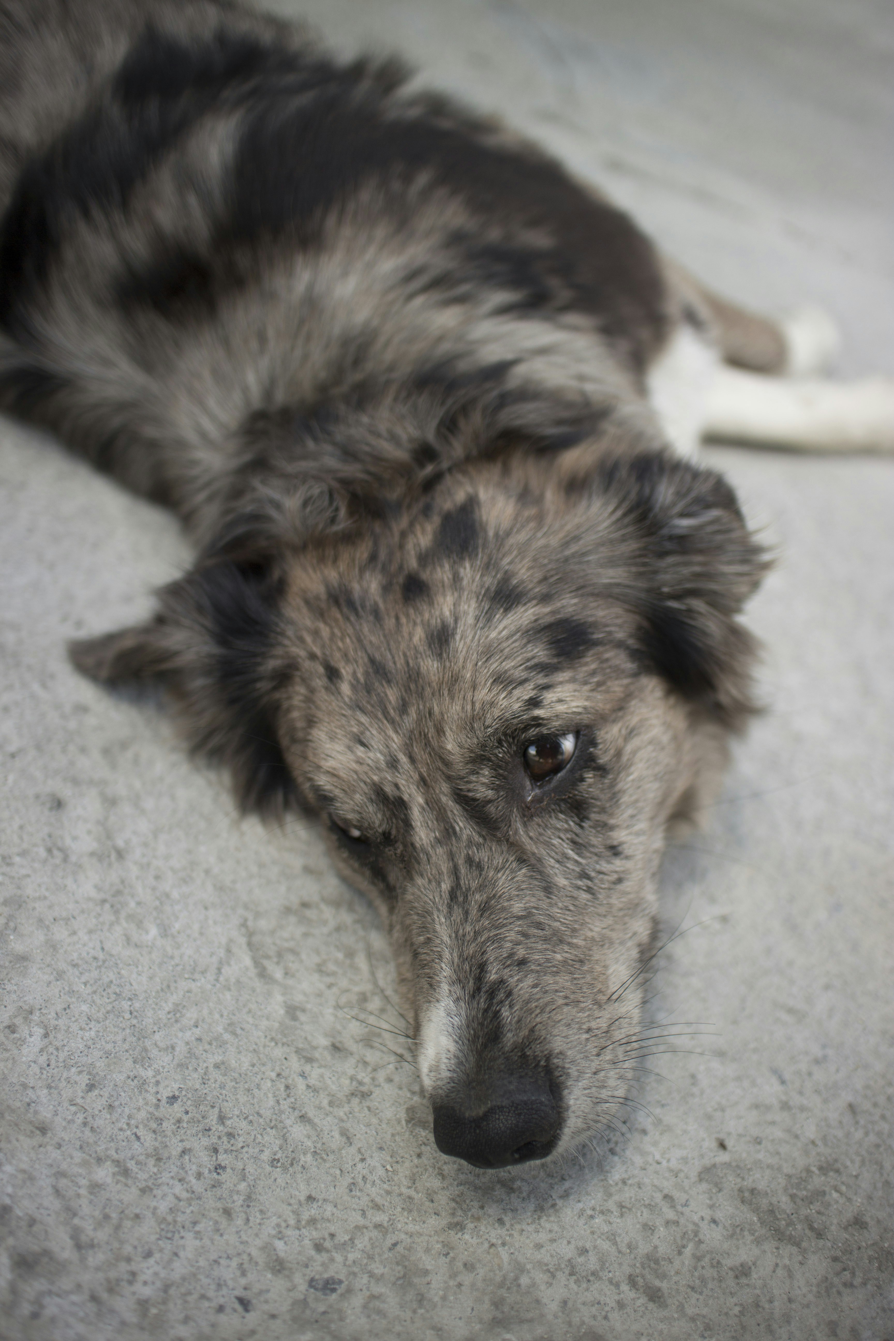 Free Unsplash photo from Alexandre Pennetier