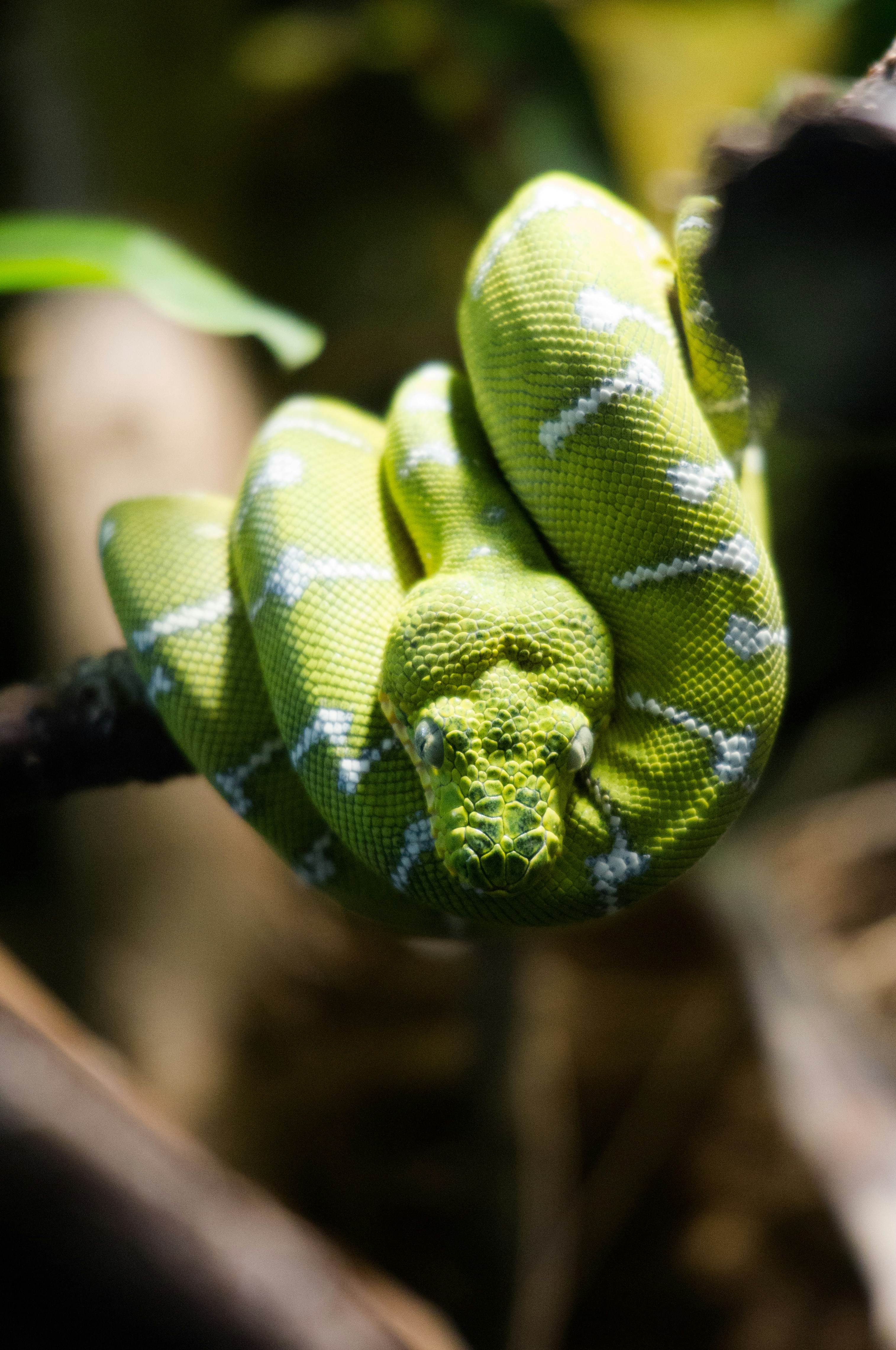 Free Unsplash photo from Alexandre Pennetier