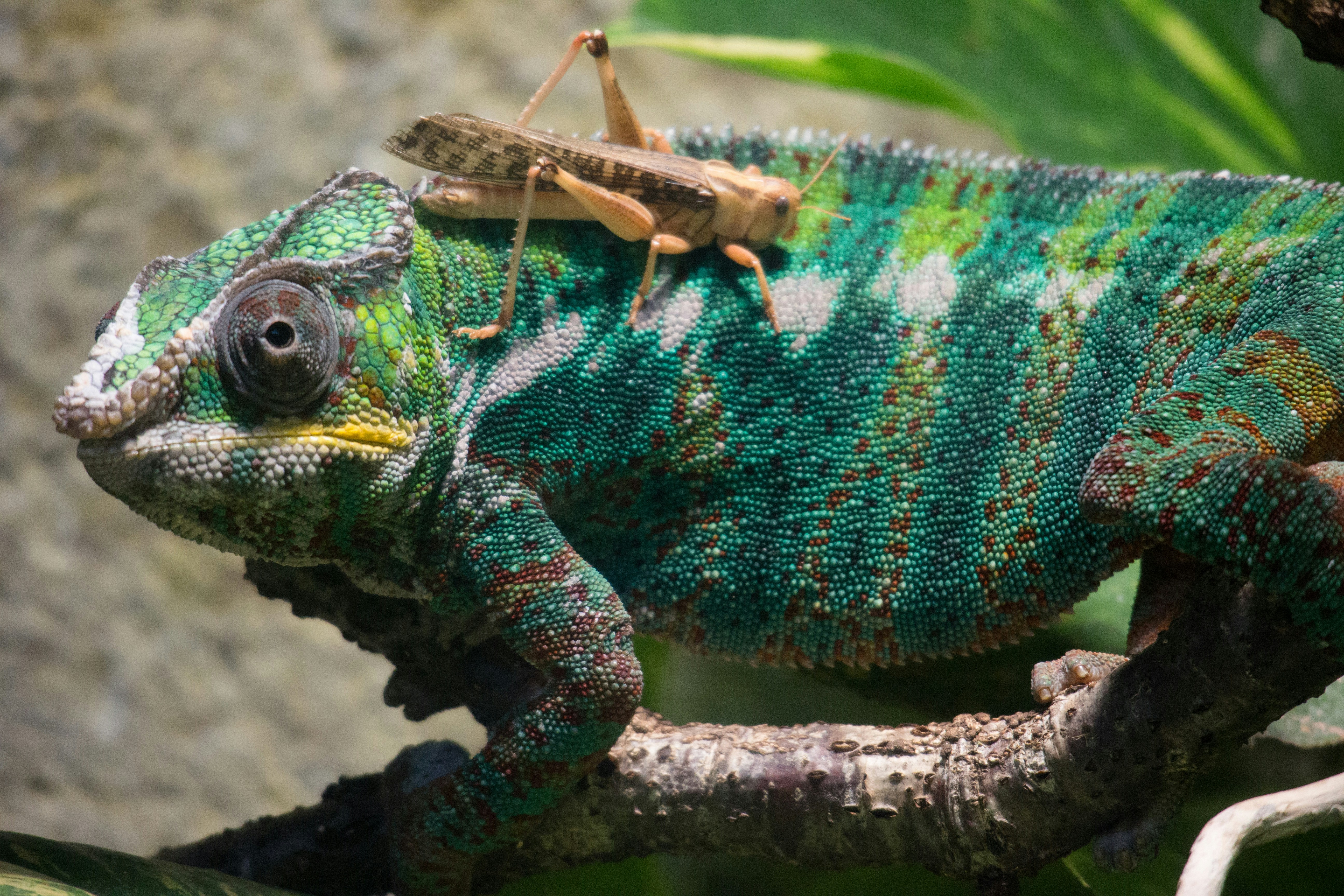 Free Unsplash photo from Alexandre Pennetier