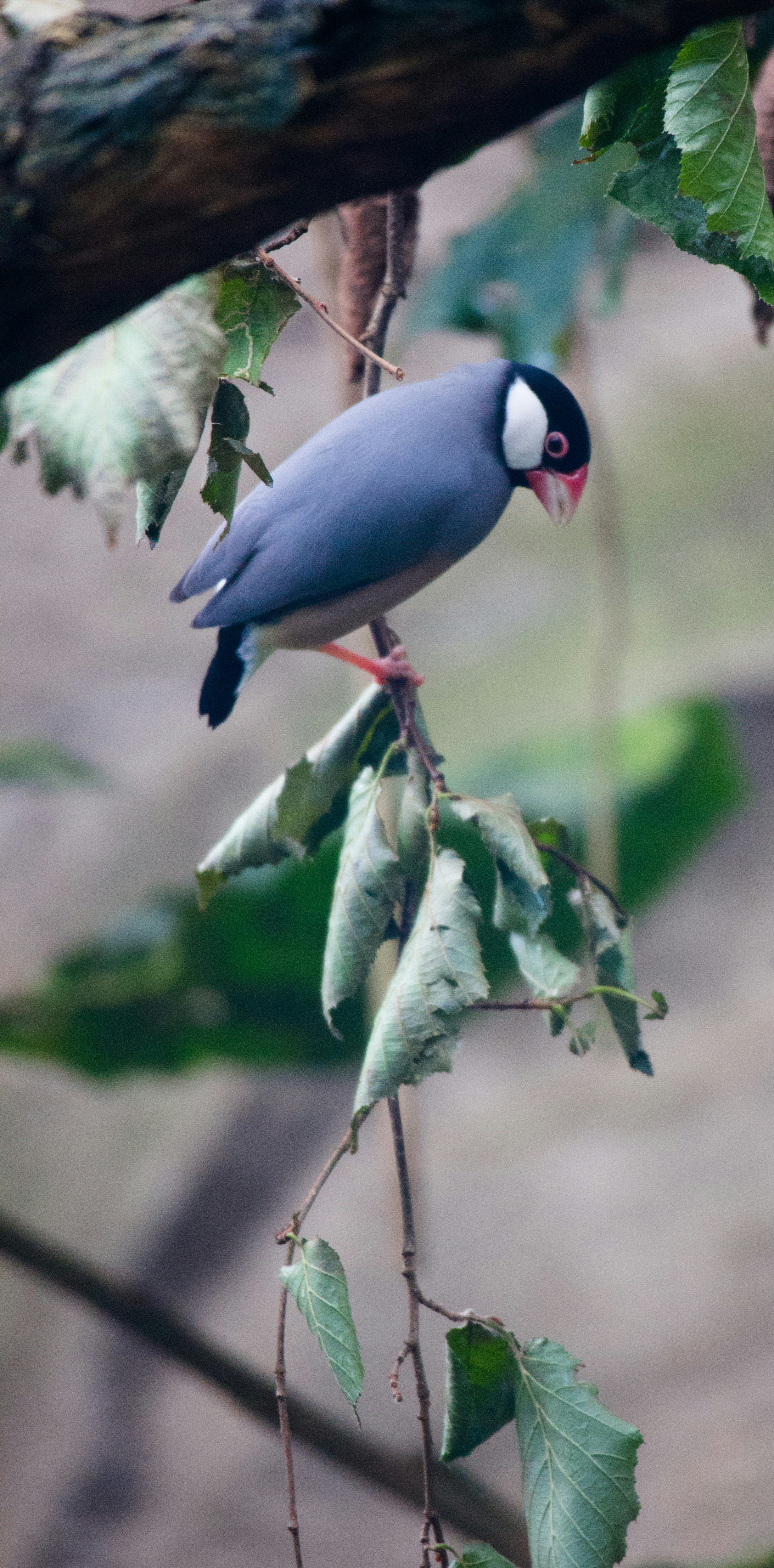 Free Unsplash photo from Alexandre Pennetier