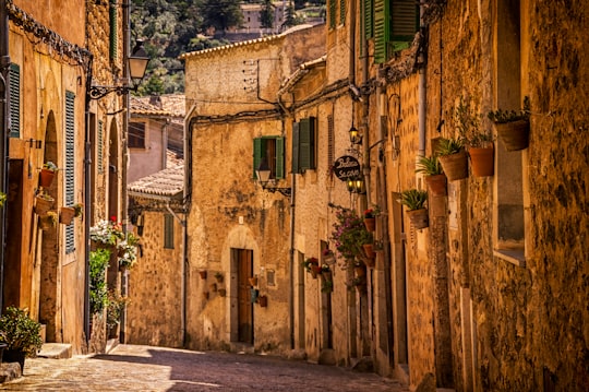 brown painted houses during daytime in Valldemossa Spain