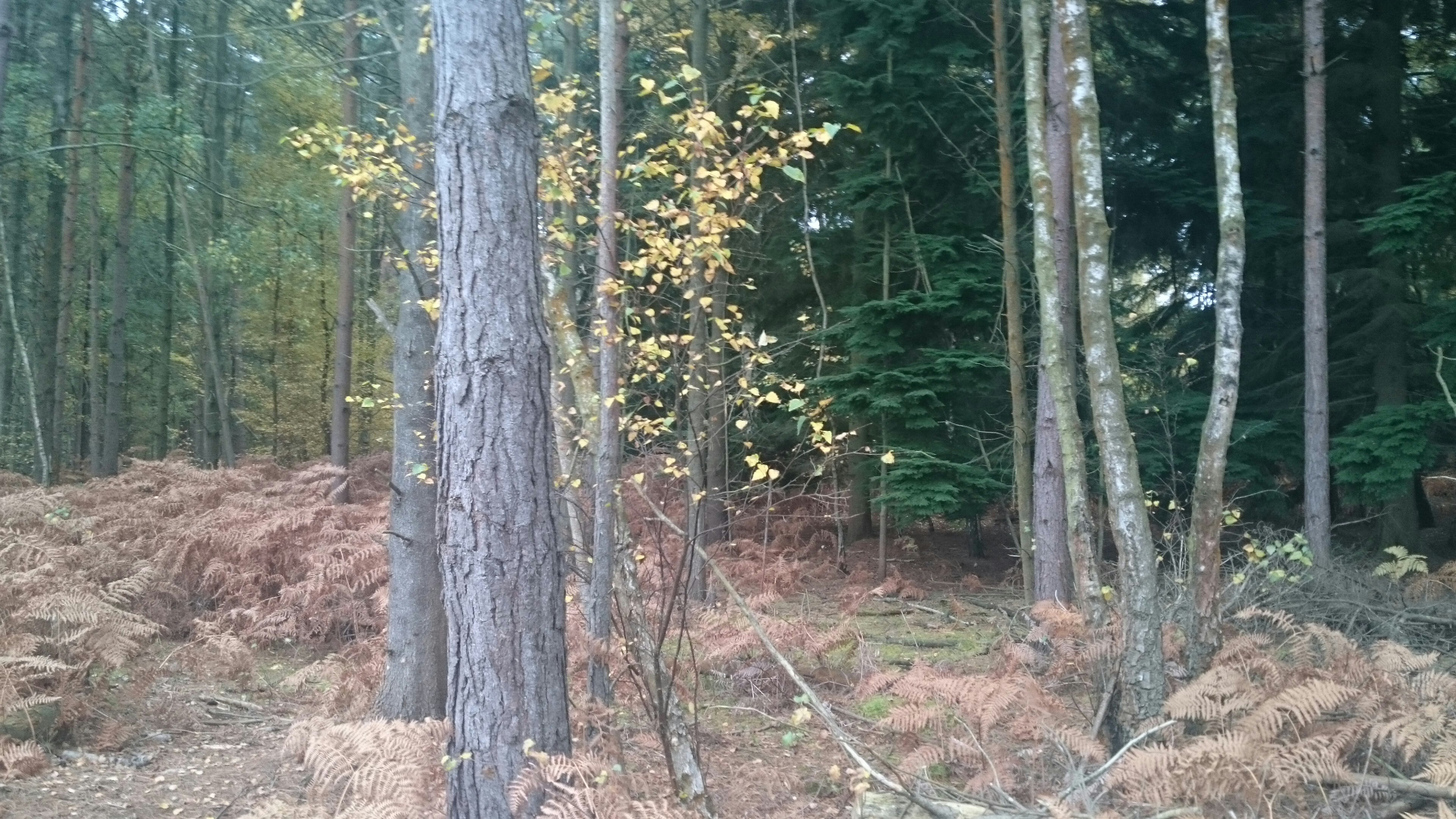 Free Unsplash photo from Nataliya Klymko