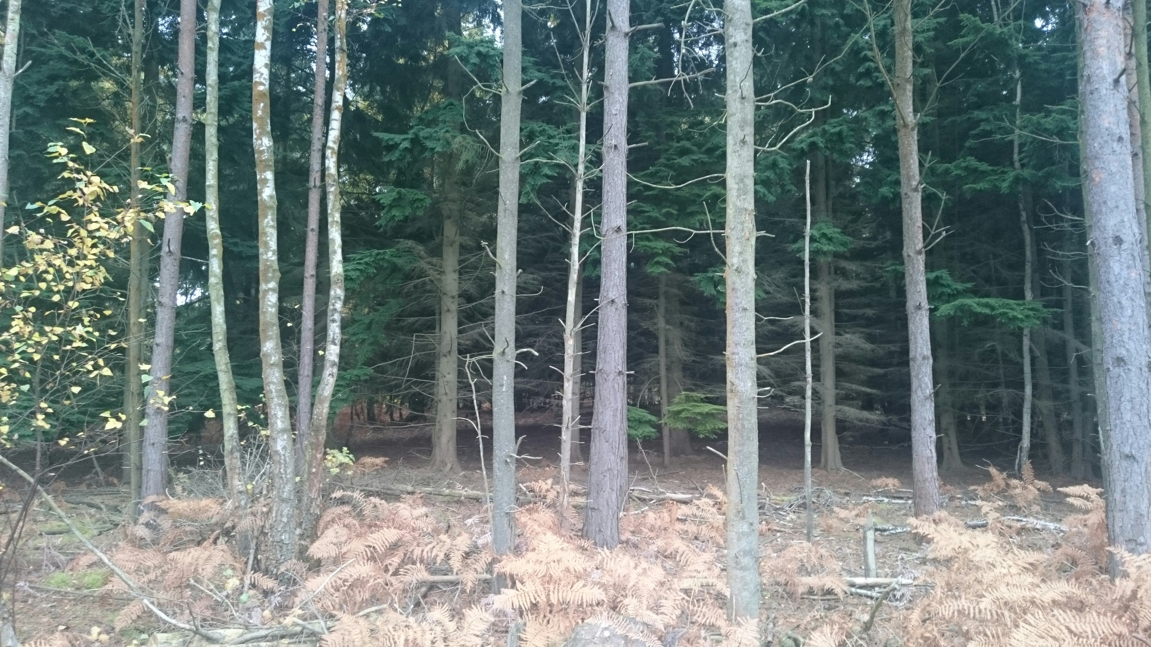 Free Unsplash photo from Nataliya Klymko