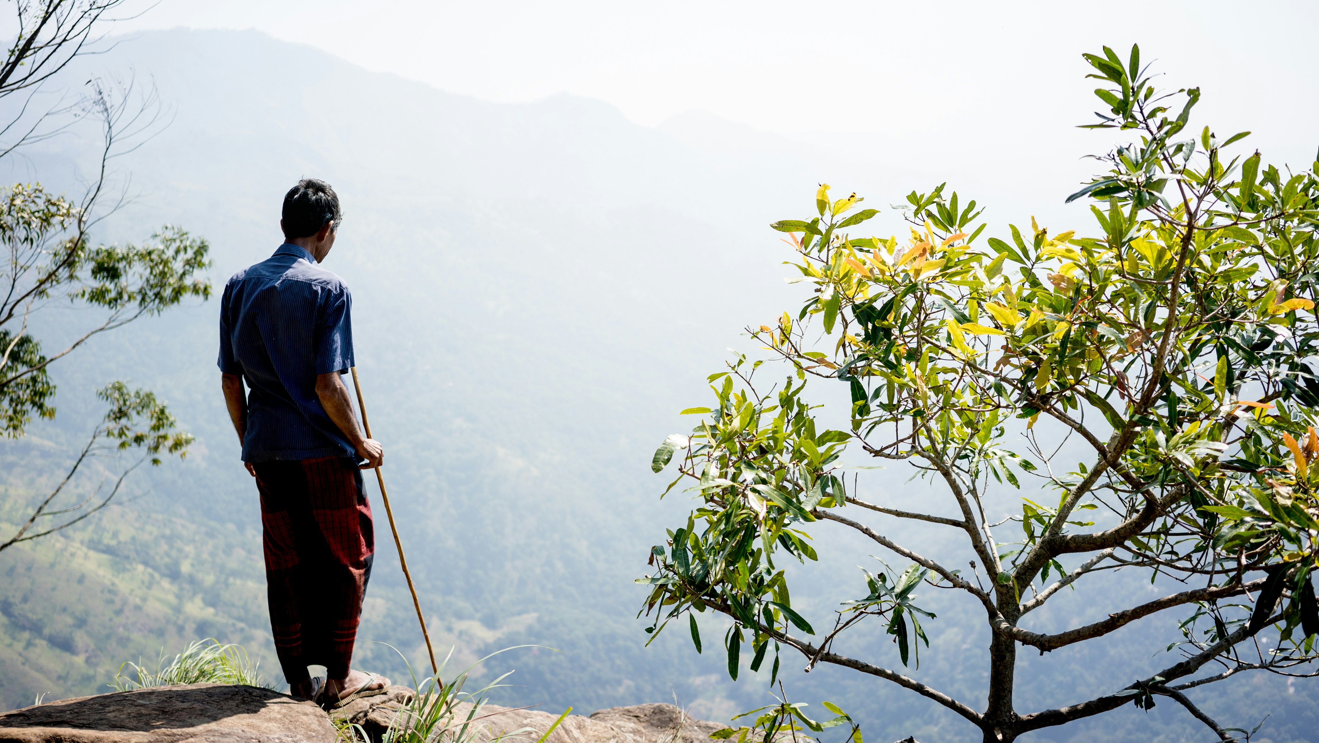 man standing on mountain cliff beside green leaf plant during daytime