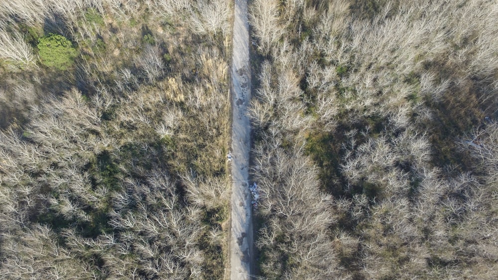 Foto aus der Vogelperspektive der Straße entlang des Waldes