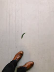 Minimalist shot of a pair of premium leather shoes on a polished wooden floor