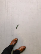 Minimalist shot of a pair of premium leather shoes on a polished wooden floor