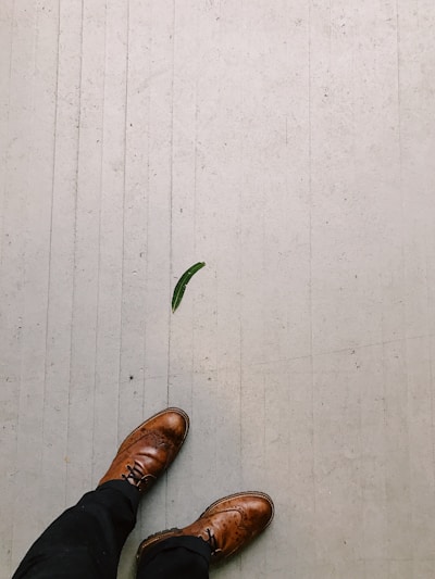 Brown leather shoes are seen on a textured gray floor with a single green leaf nearby. The shoes are positioned as if being worn, with the person standing slightly apart. The scene is minimalistic, focusing on the contrast between the earthy tones of the shoes and the neutral background.