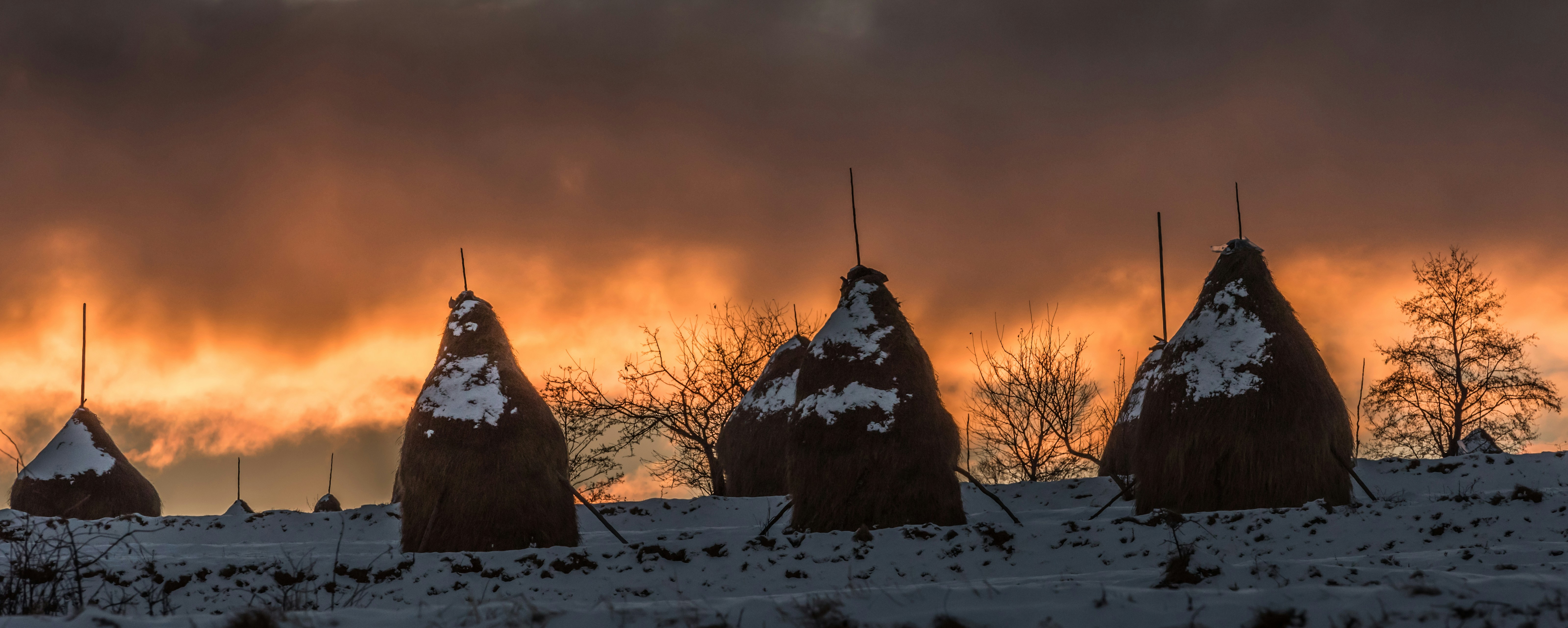 Free Unsplash photo from Ioan Schlosser