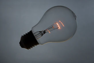 gray incandescent lamp photography