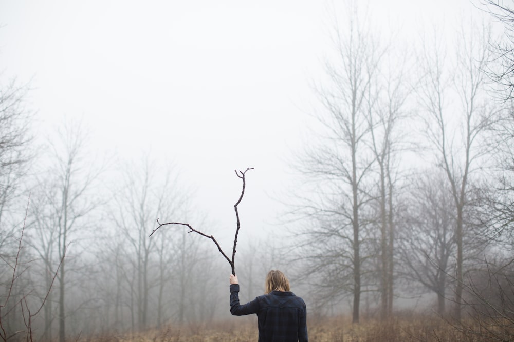 person holding driftwood