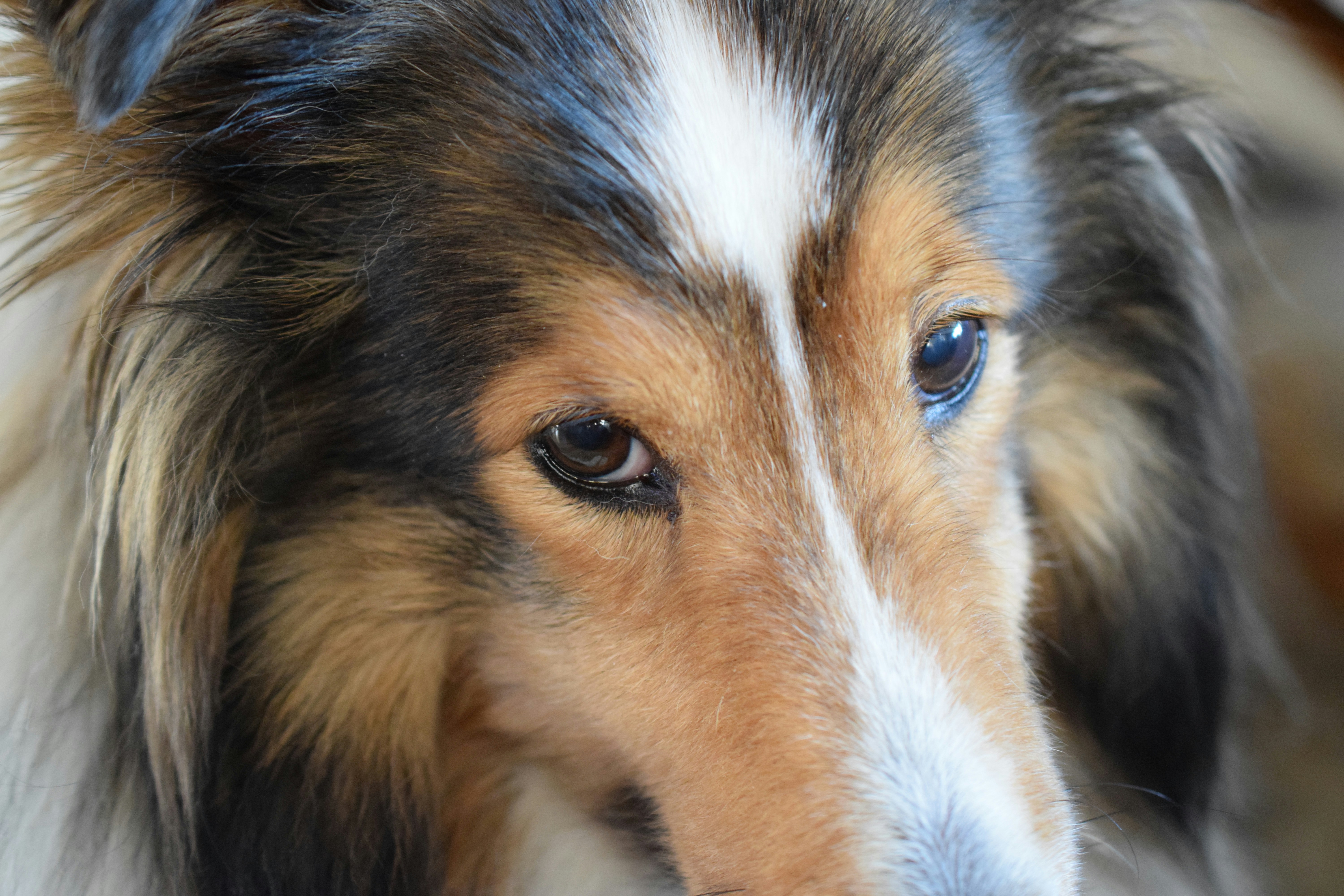 Free Unsplash photo from Leah Good