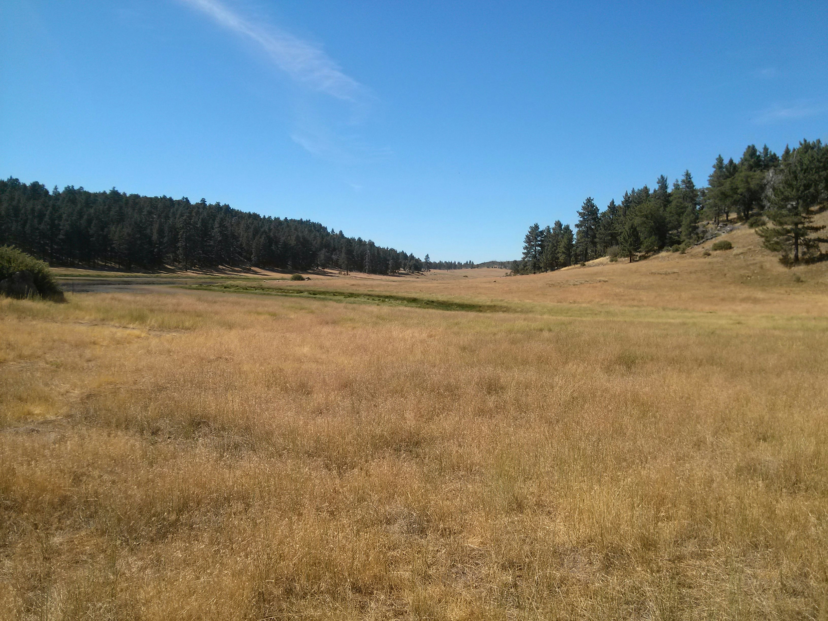 Free Unsplash photo from Terry