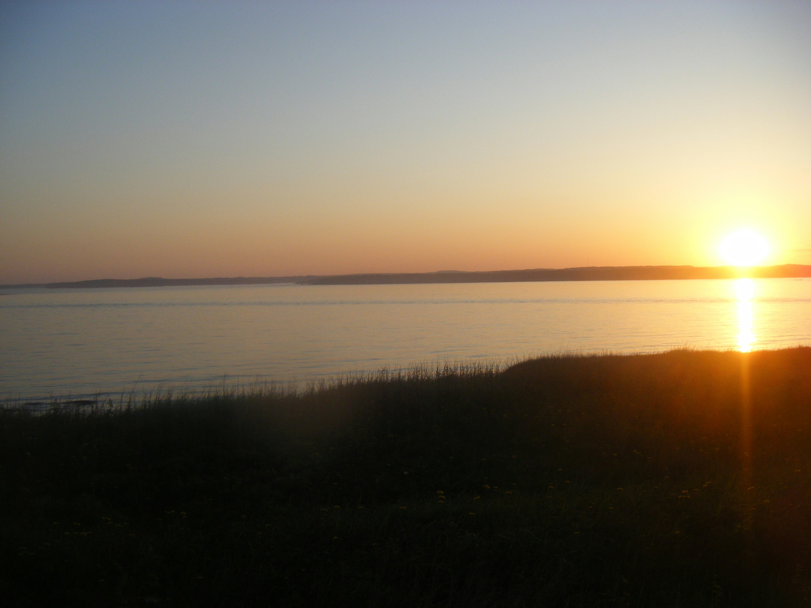 Free Unsplash photo from Terry