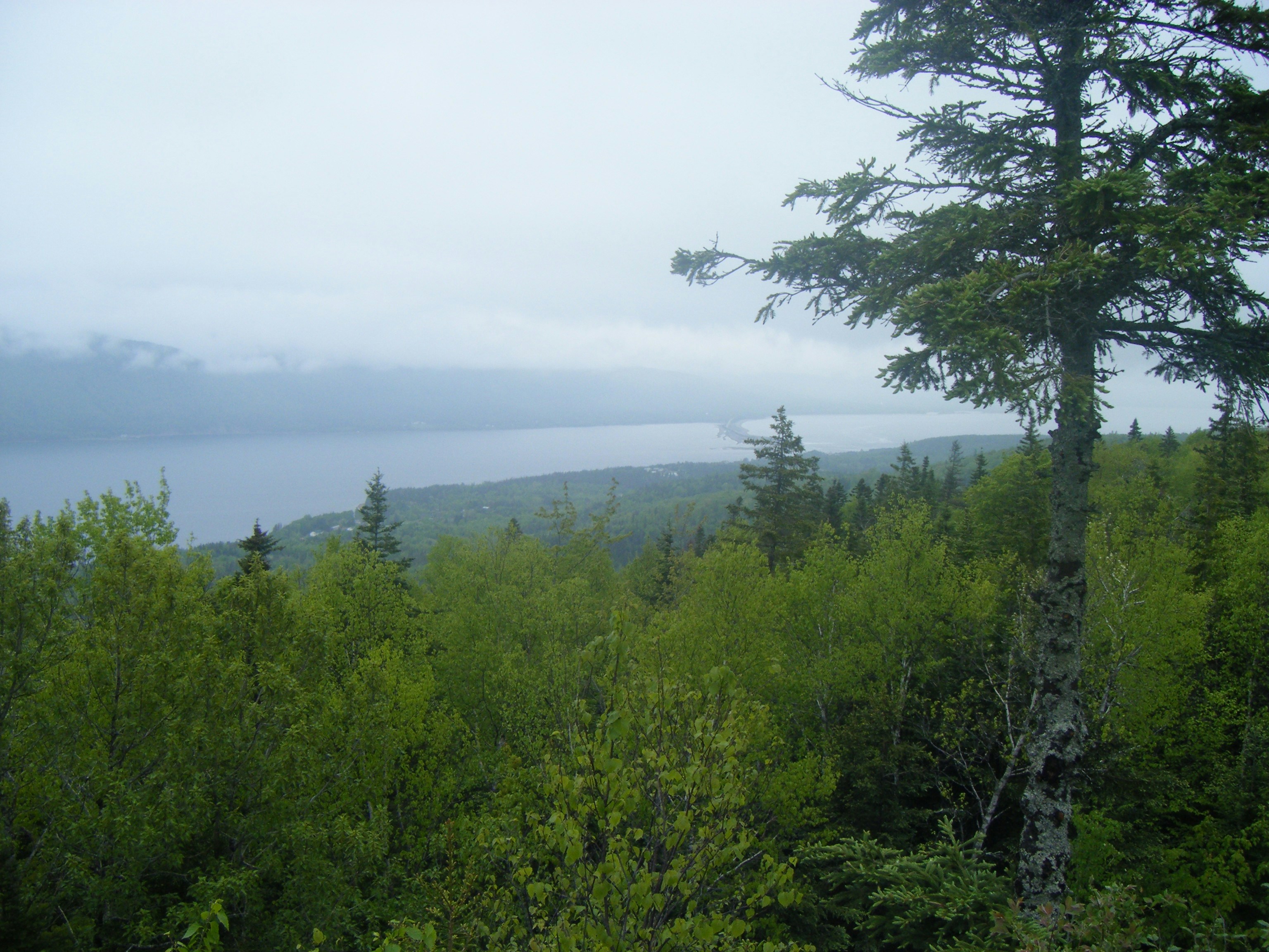 Free Unsplash photo from Terry