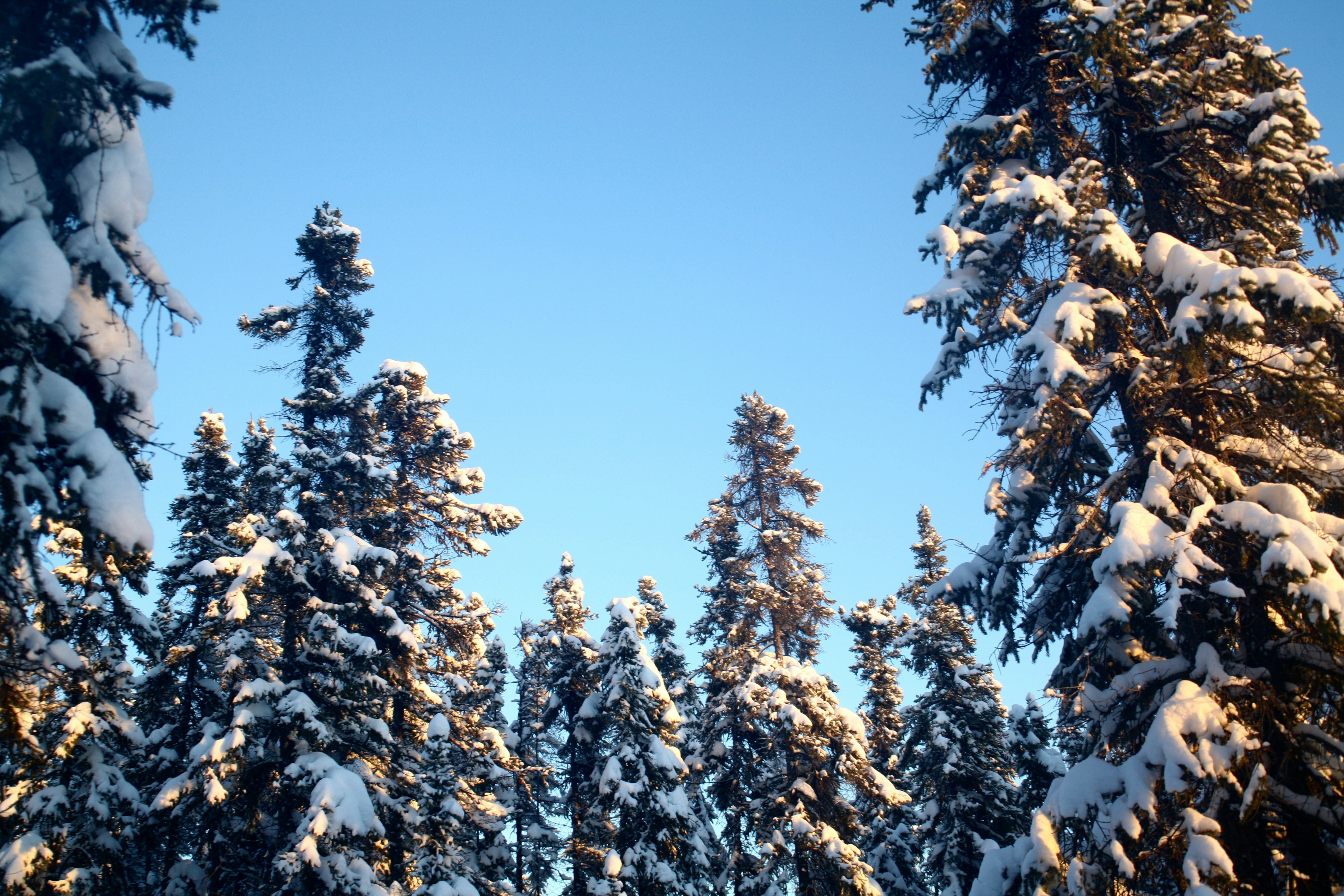 Free Unsplash photo from Shannon McInnes