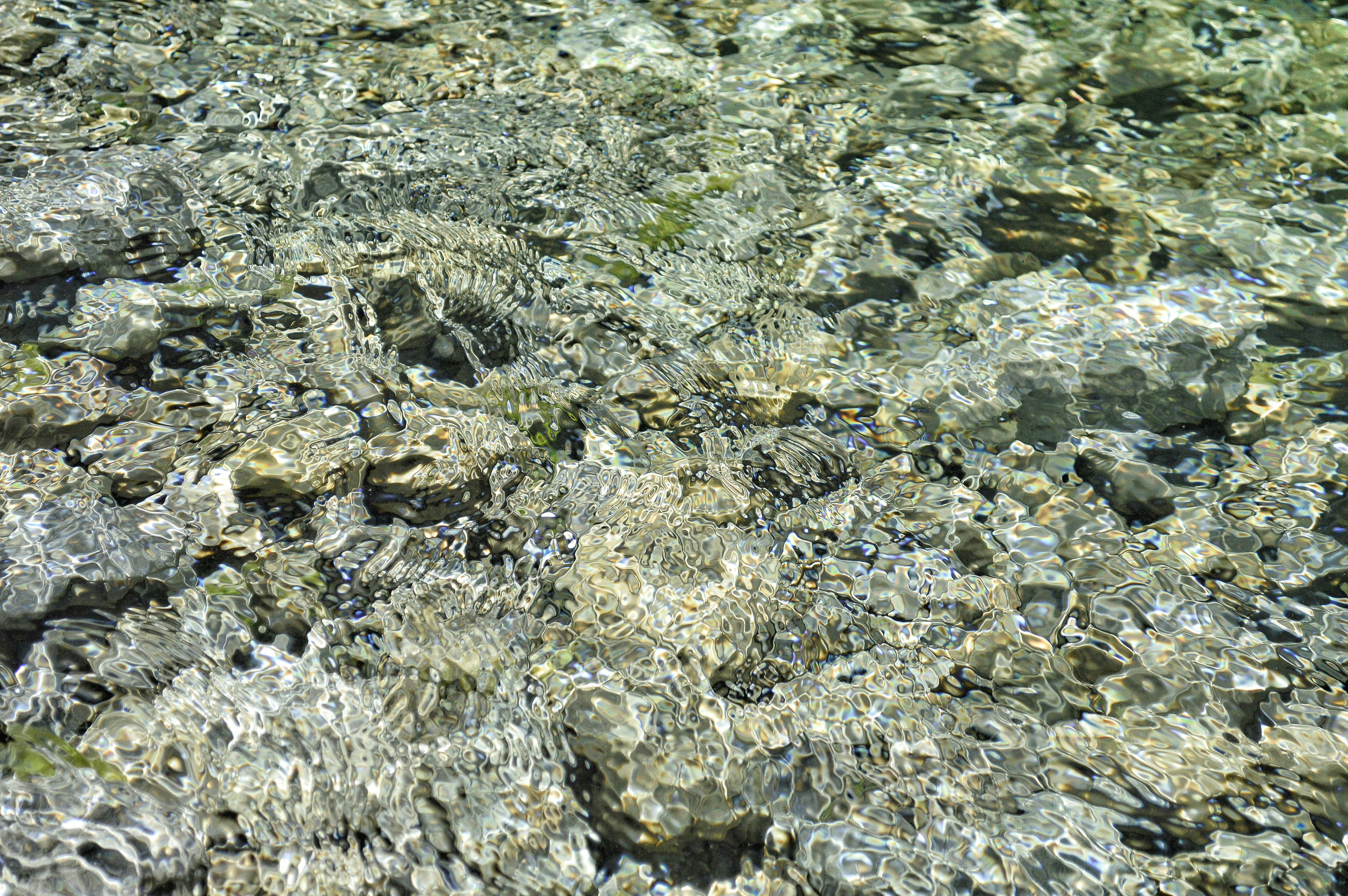 Free Unsplash photo from Jaimie Phillips