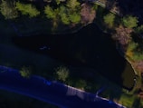 An aerial view of a large, dark pond surrounded by green trees and grass. A road with a few parked cars runs parallel to the pond. Shadows from the trees and surroundings stretch across the landscape, indicating a low sun angle.