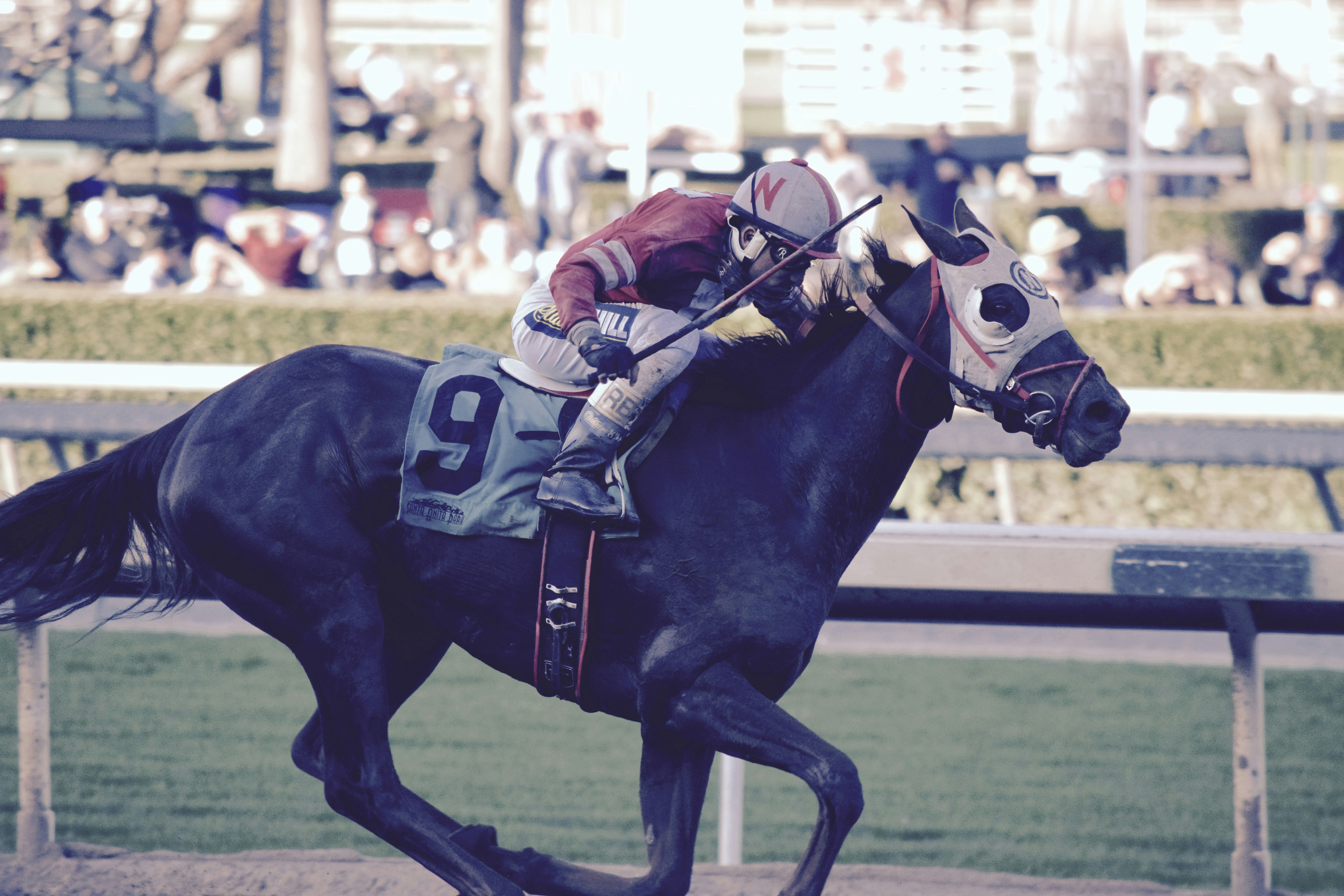 Free Unsplash photo from Obi Herrera