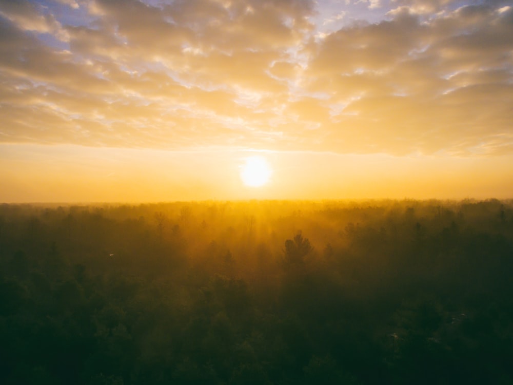 landscape photography of field during golden hour