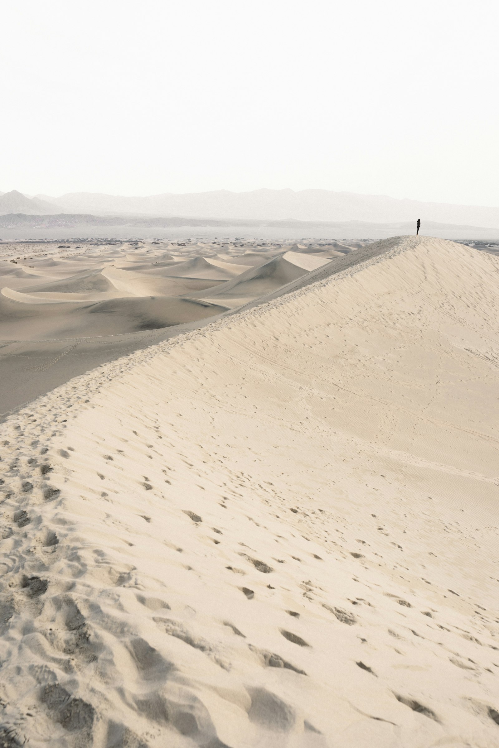 Sony a7 II sample photo. Person standing on desert photography