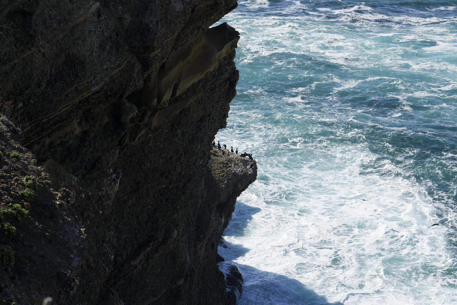 A close-up of rugged cliffs on the Faroe Islands, with waves crashing and seabirds soaring above.