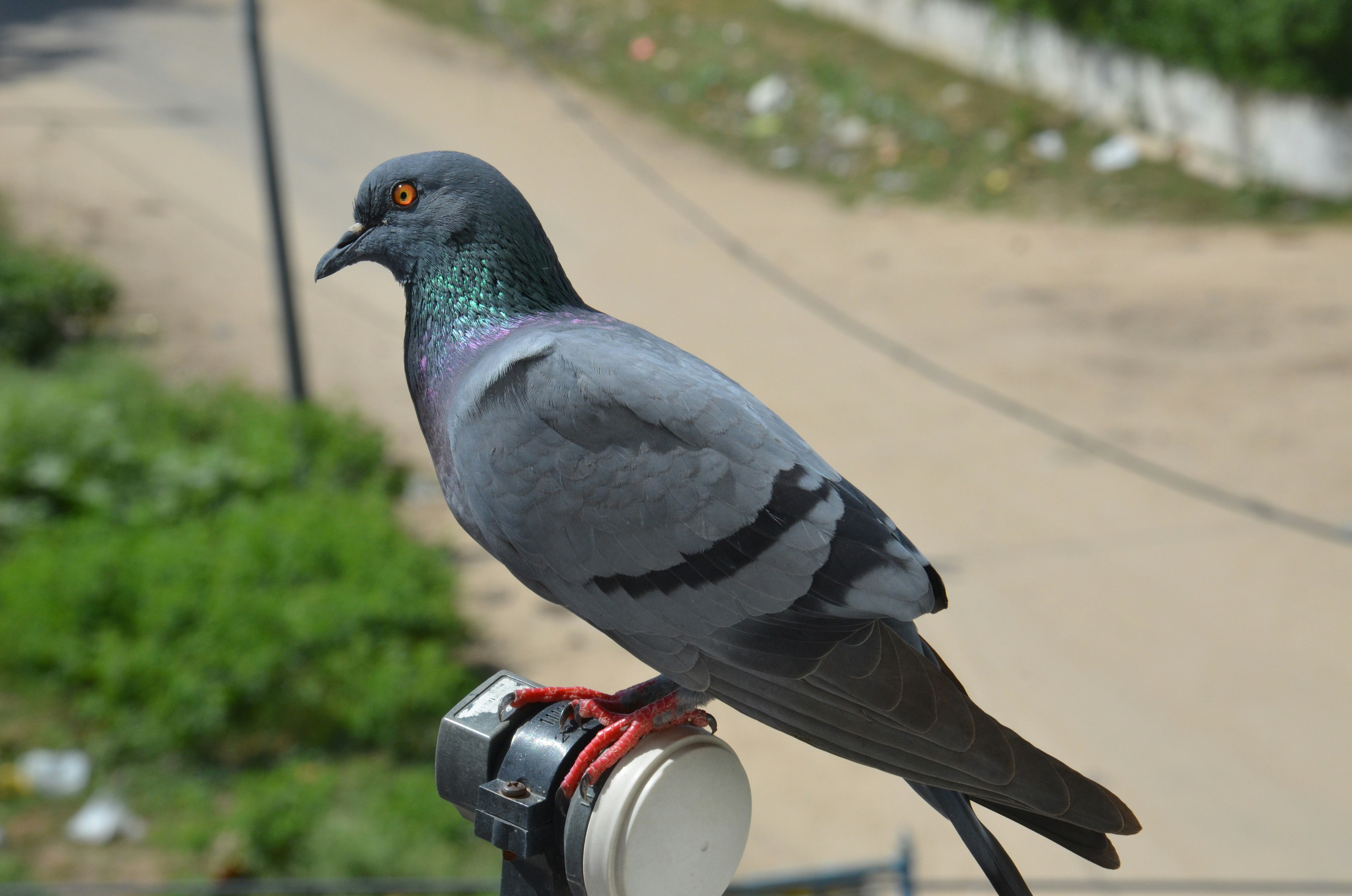 Free Unsplash photo from Prashant Gupta