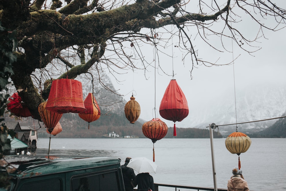 several paper lanterns on brown tree