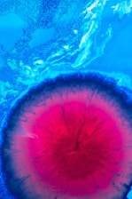 abstract painting