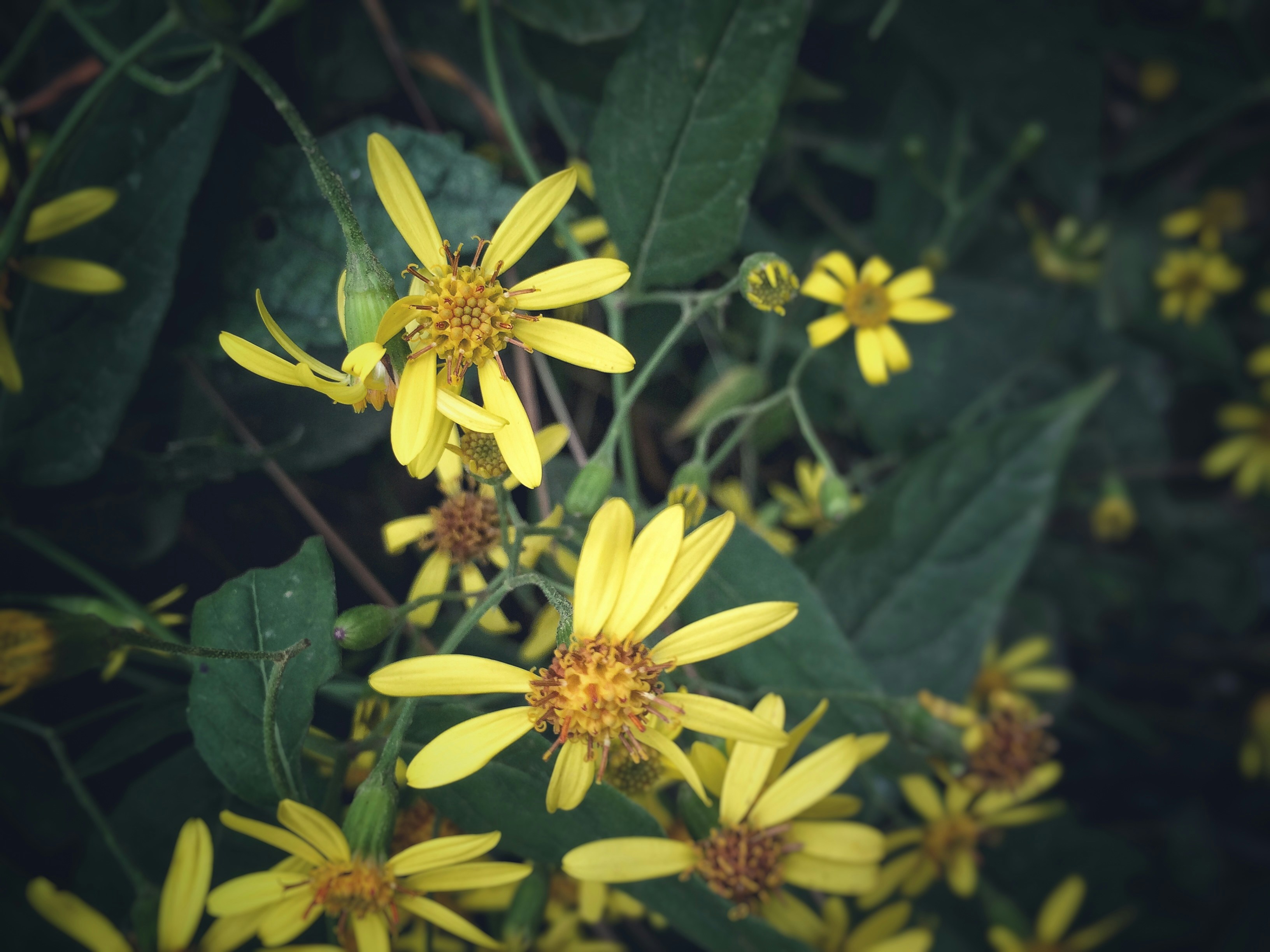 Free Unsplash photo from y yt