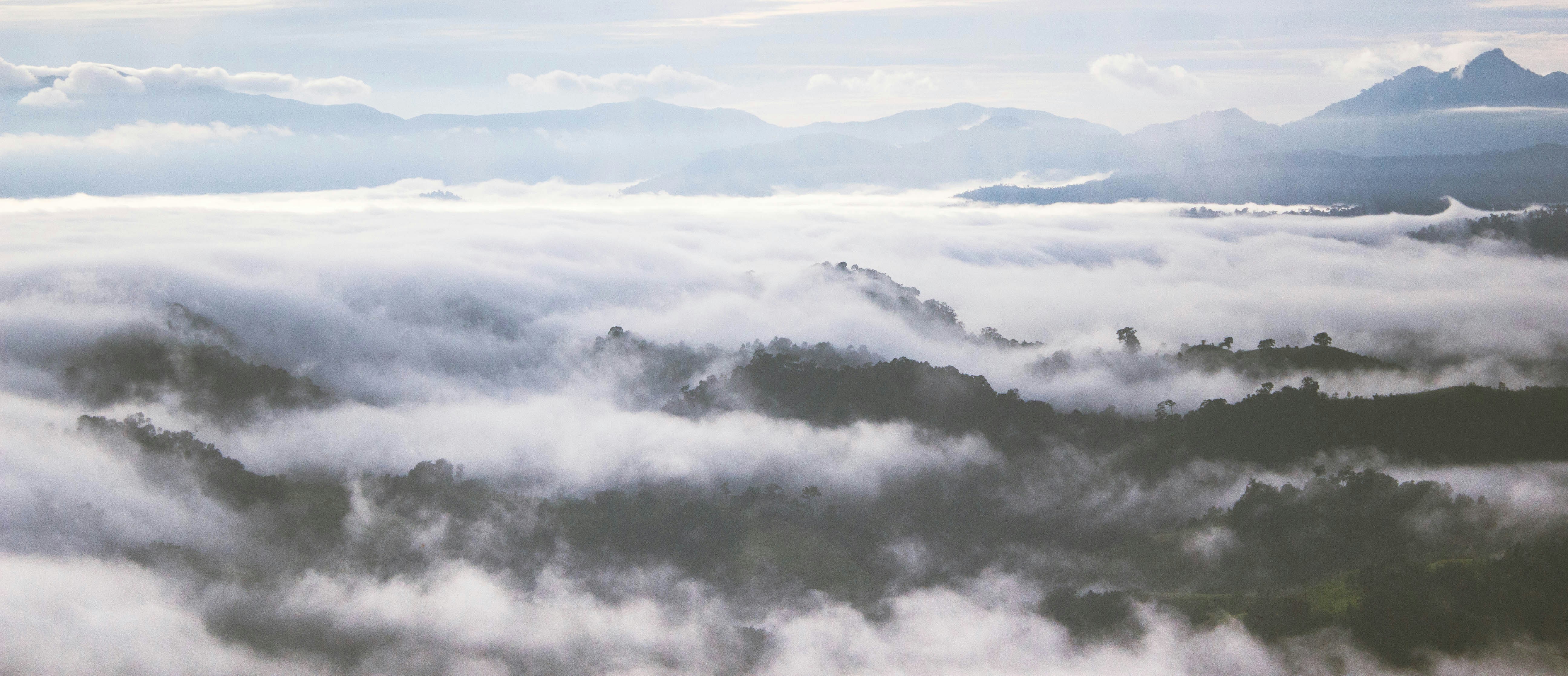 Free Unsplash photo from Novanda Dwi Putra