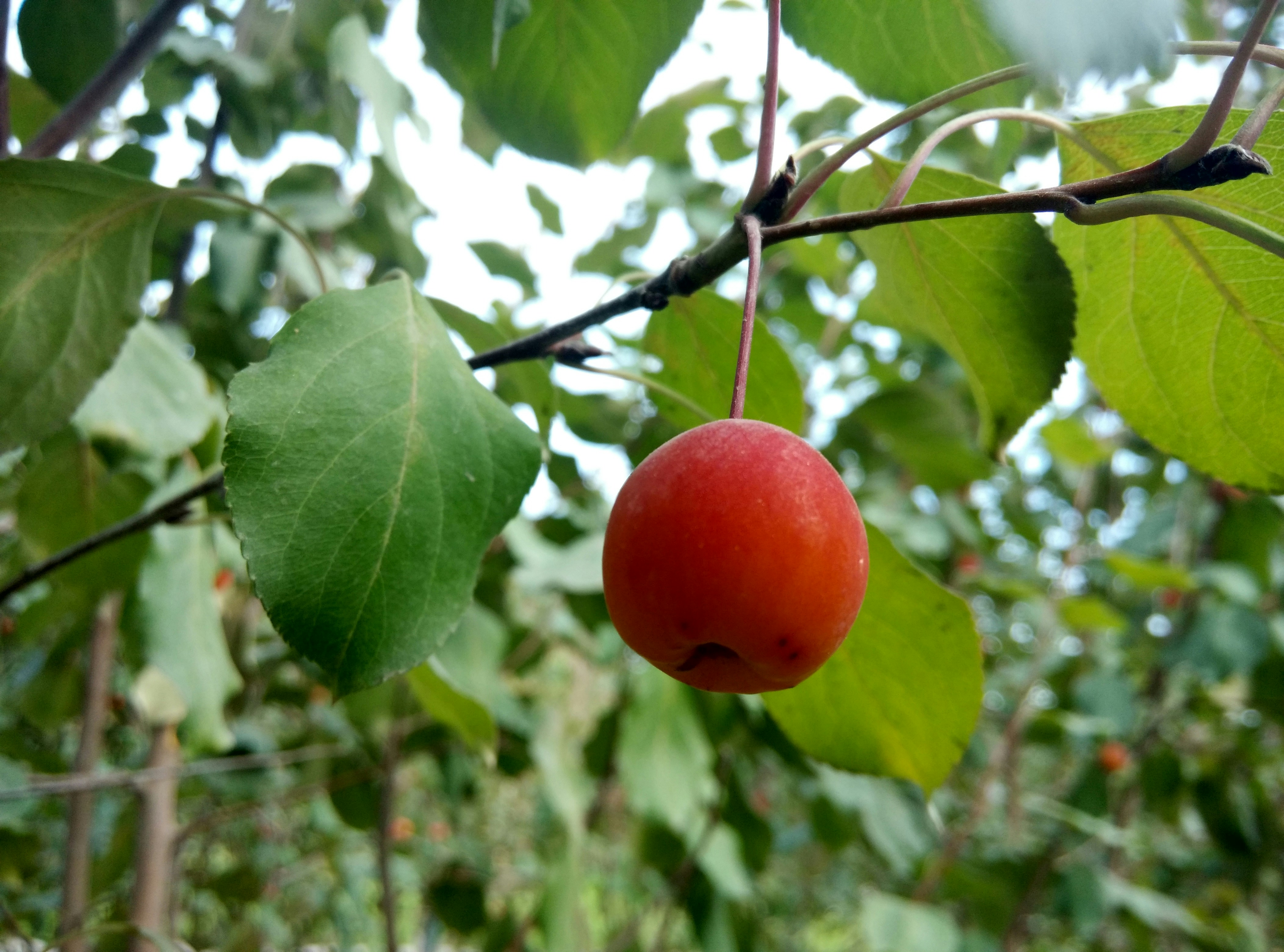 Free Unsplash photo from Dylan Newman