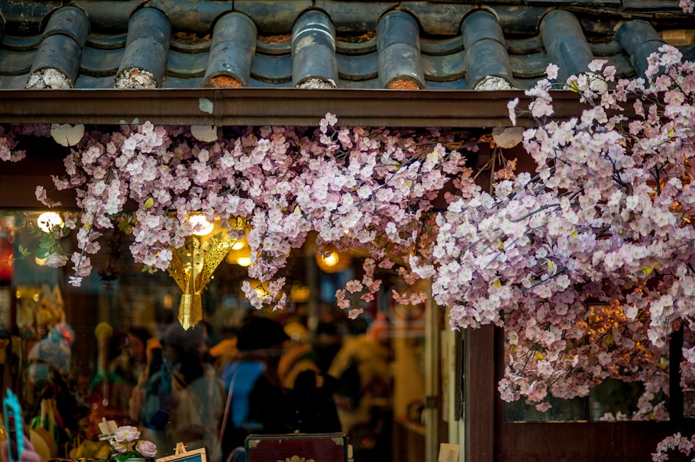 pink petaled flowers on roof shingles