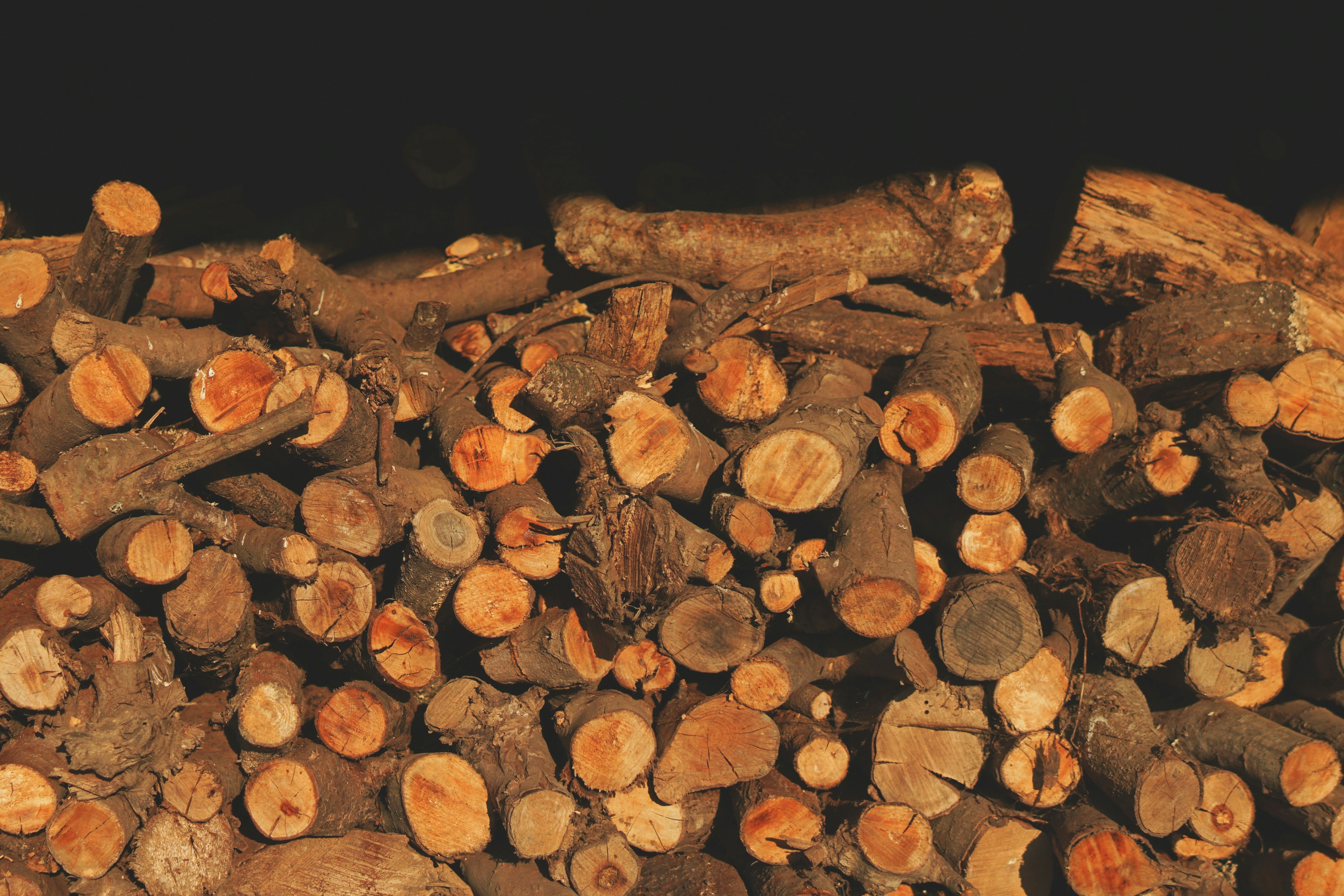 Premium Fuel Wood Logs