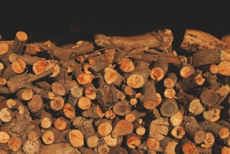 A large pile of neatly stacked, cut firewood with visible bark and varying sizes and textures of logs.