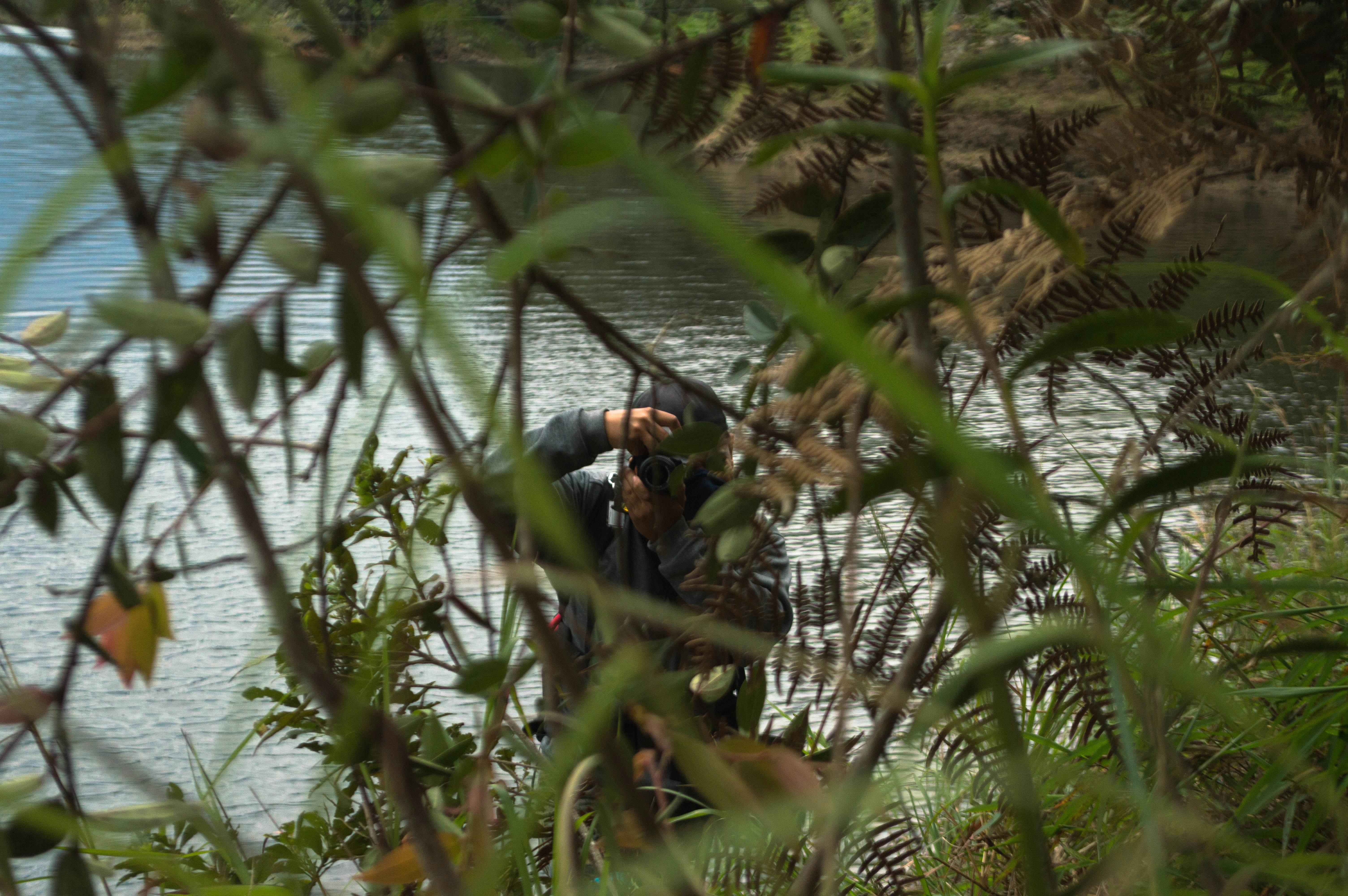 Free Unsplash photo from David Cortes