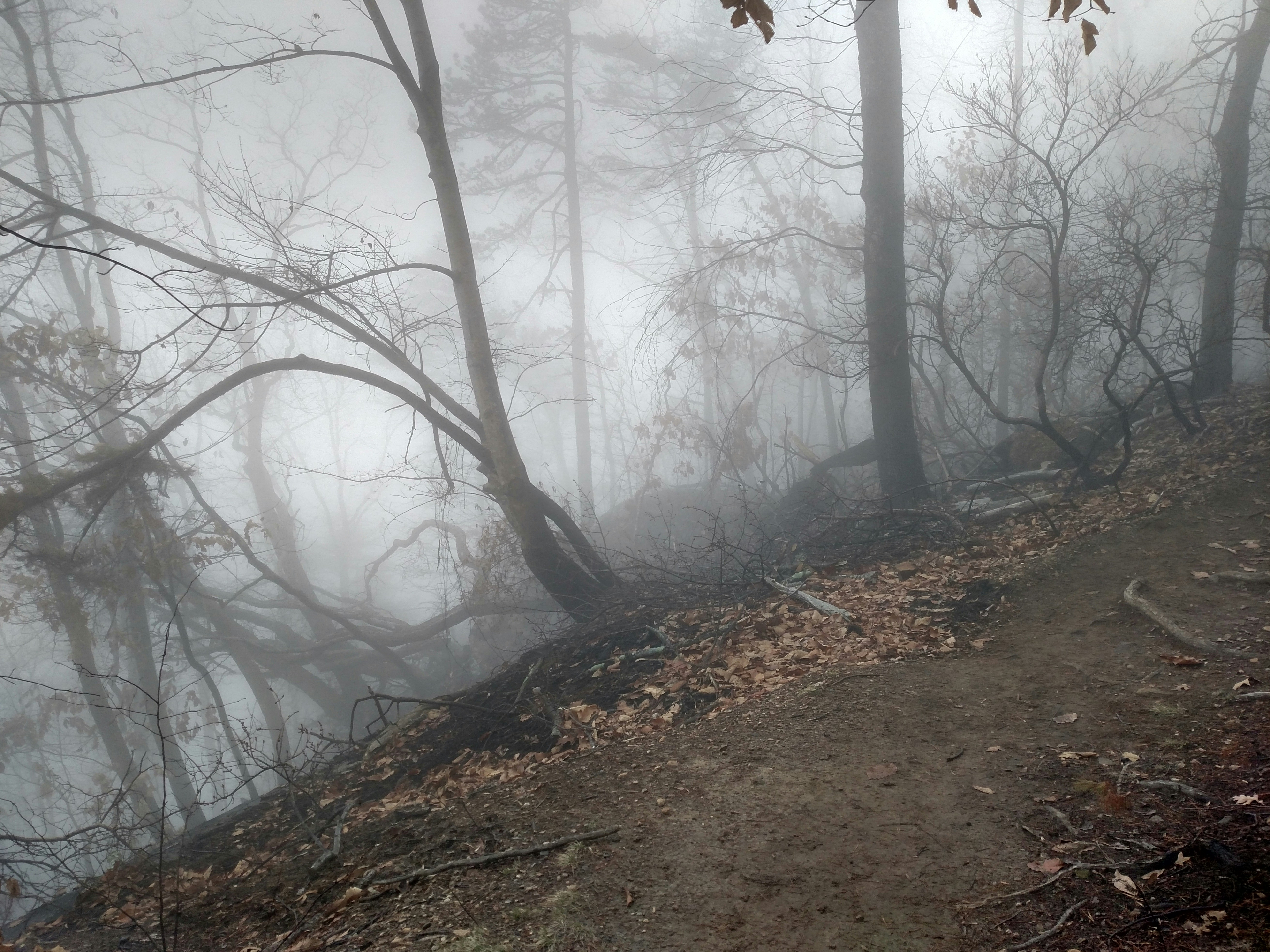 Free Unsplash photo from David Johnson